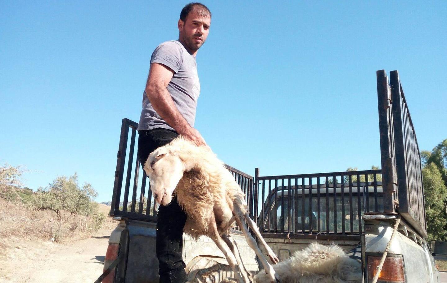 Dalla Regione 4,8 milioni per risarcire le aziende 