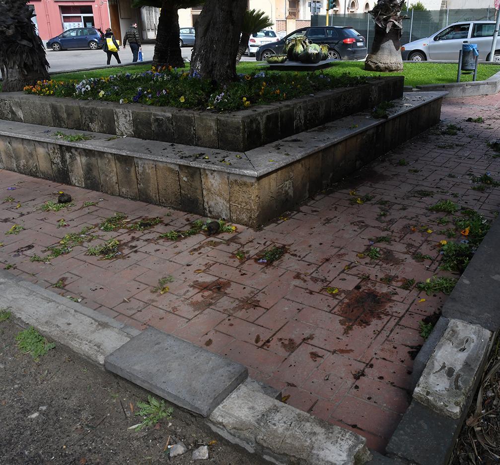 Raid vandalico in piazza Pili Strappati i fiori dalle aiuole