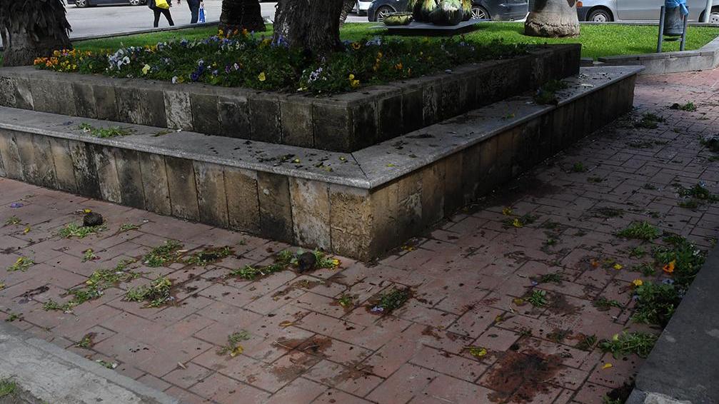 Raid vandalico in piazza Pili Strappati i fiori dalle aiuole