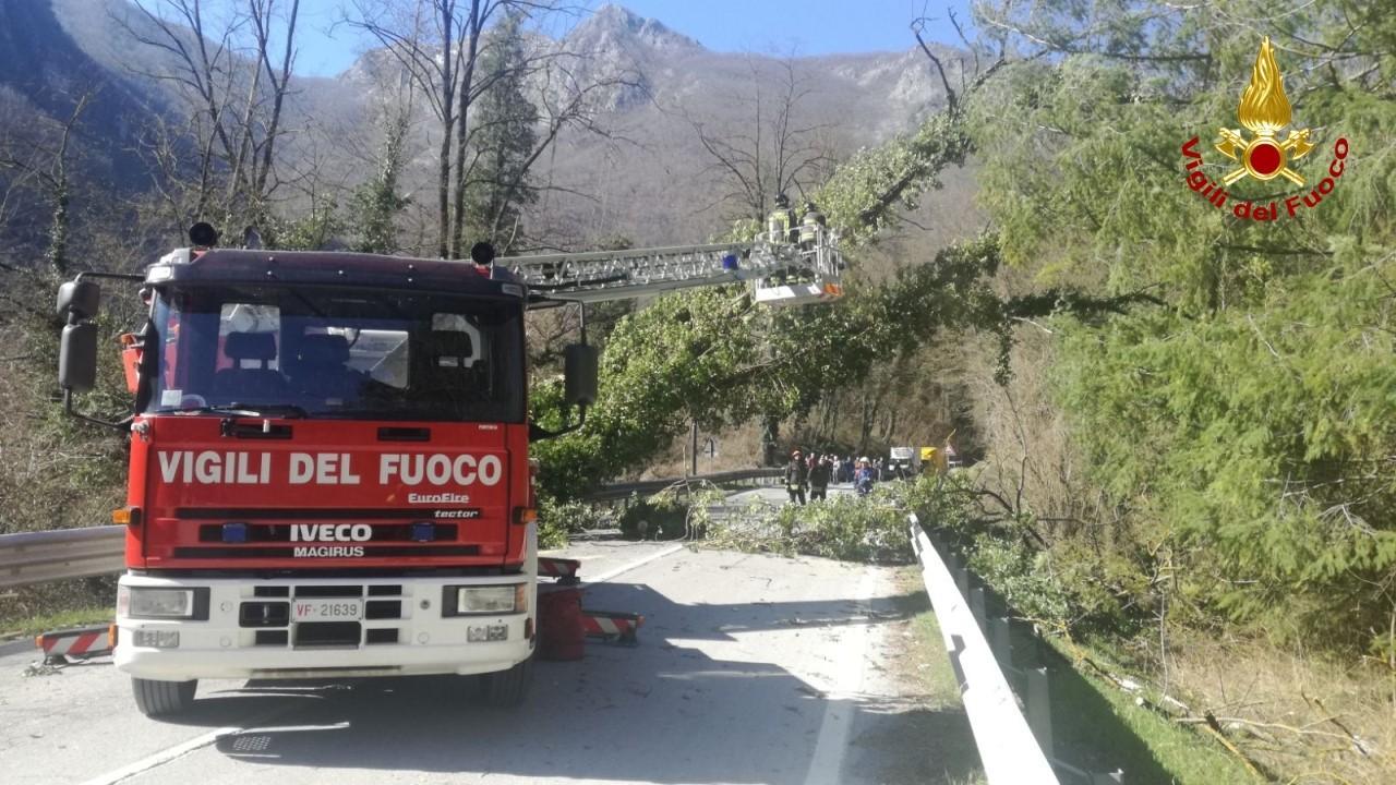 I Vigili del fuoco sulla statale 12 a Tana Termini