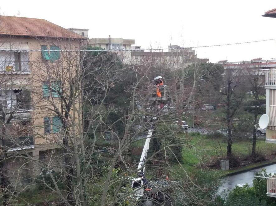 Led al Varignano affogati negli alberi 