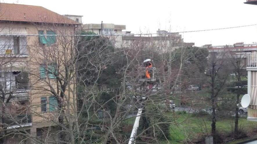 Led al Varignano affogati negli alberi