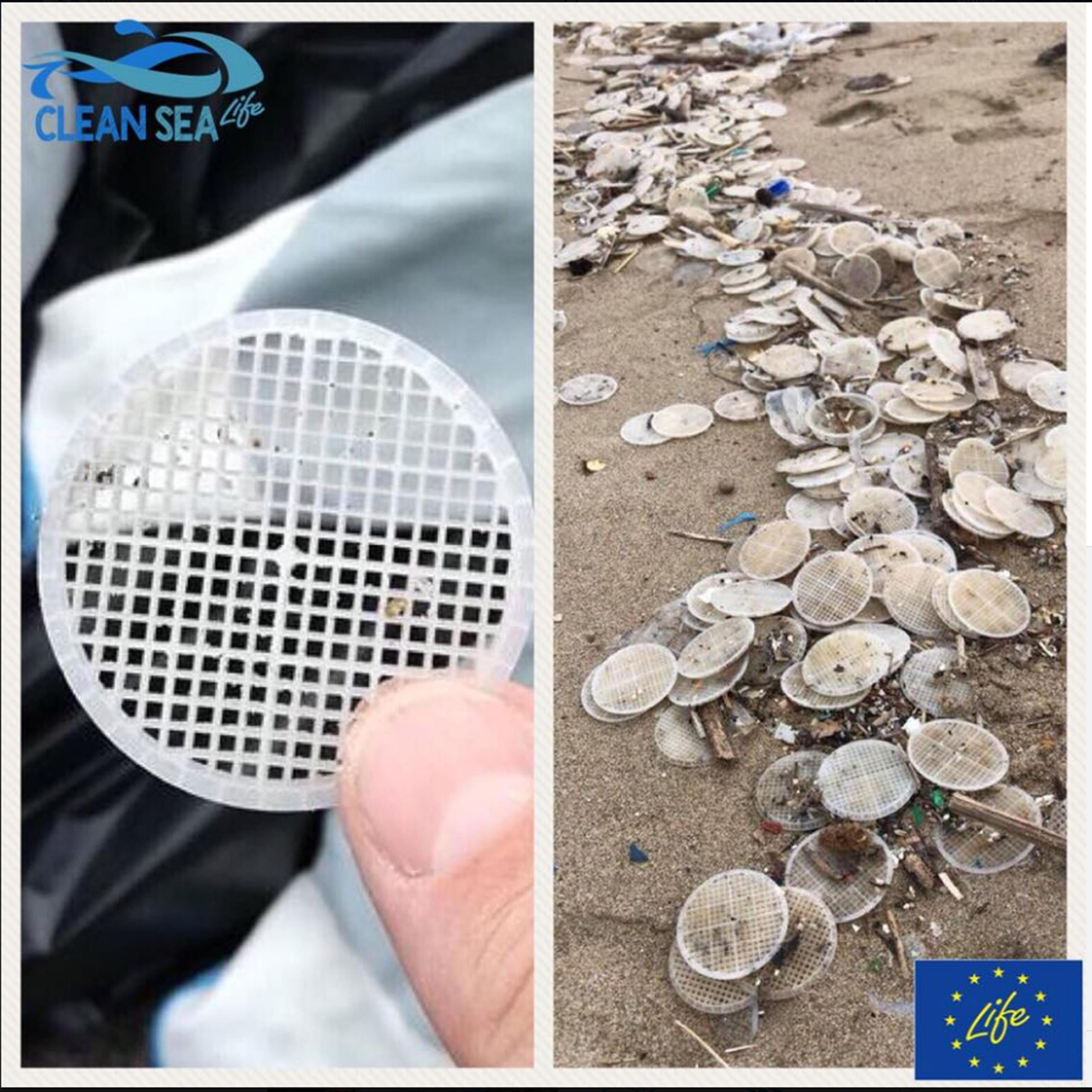Dischetti di plastica sulle spiagge: risolto il mistero - Video