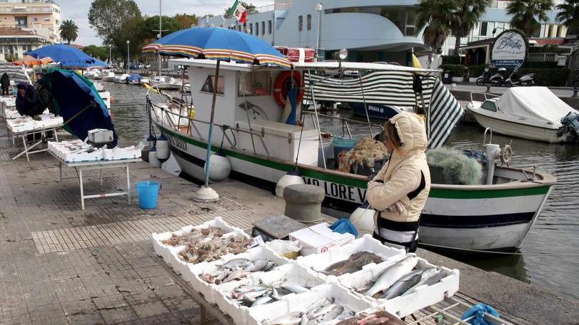Nuove regole per vendere pesce direttamente sul Molo