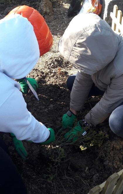 I bimbi piantano un roseto contro la mafia 