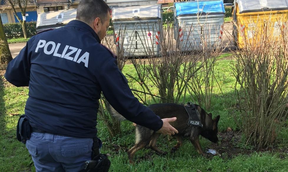 Controlli in due zone con i cani antidroga