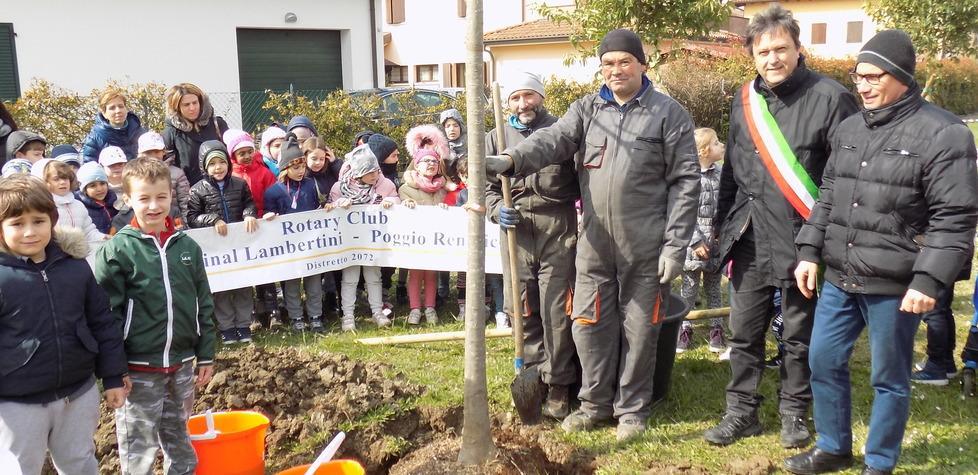 La primavera si accoglie piantando nuovi alberi