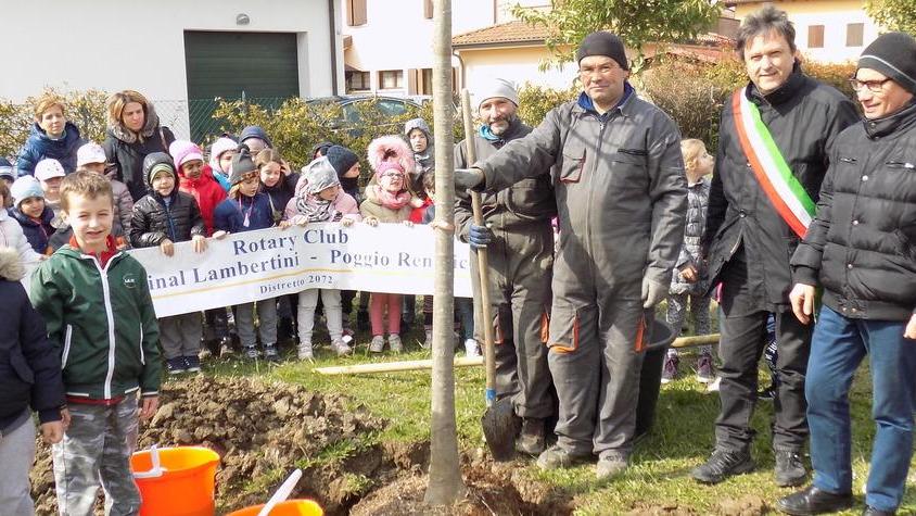 La primavera si accoglie piantando nuovi alberi