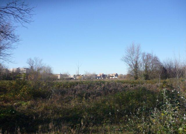 L'area dove sorgerà il parco urbano di Cisanello