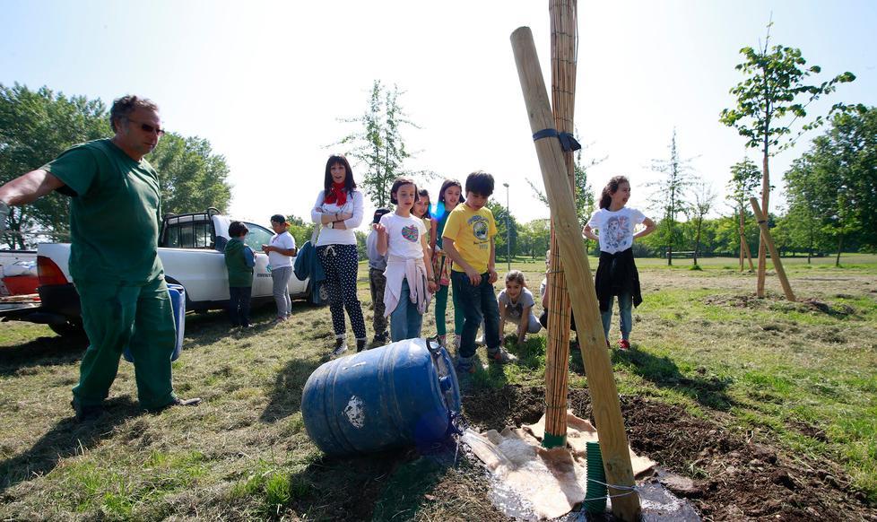 Si pianta un albero per ogni nuovo nato