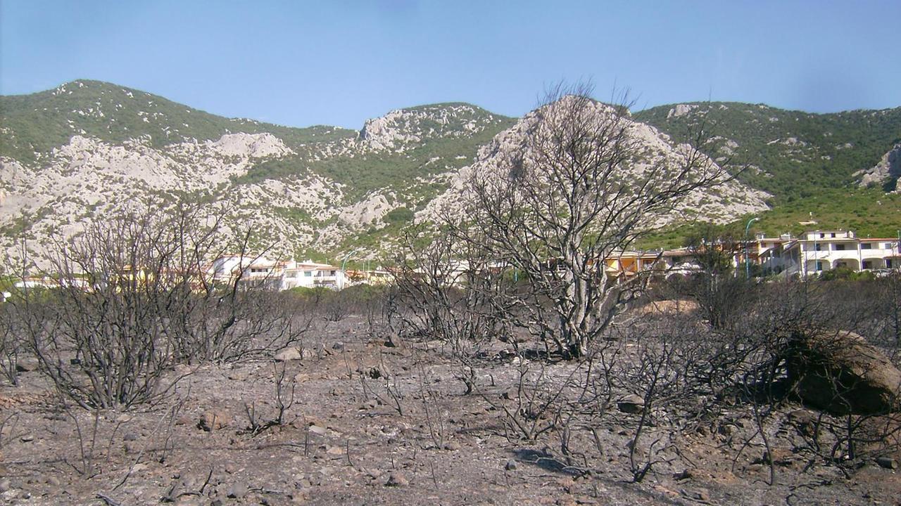 Incendi e ambiente, scuola di prevenzione per oltre 250 studenti