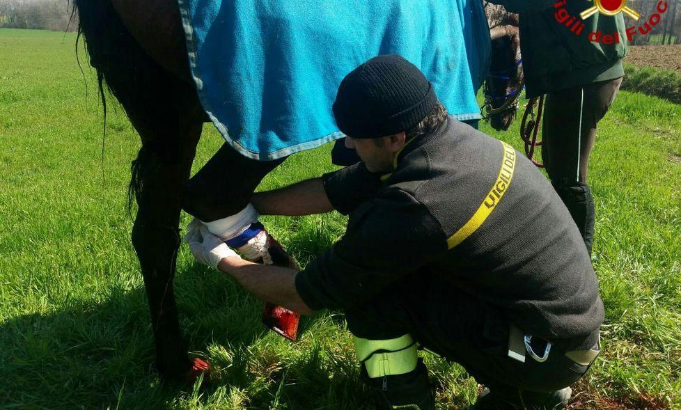 «Grazie di cuore ai vigili del fuoco»