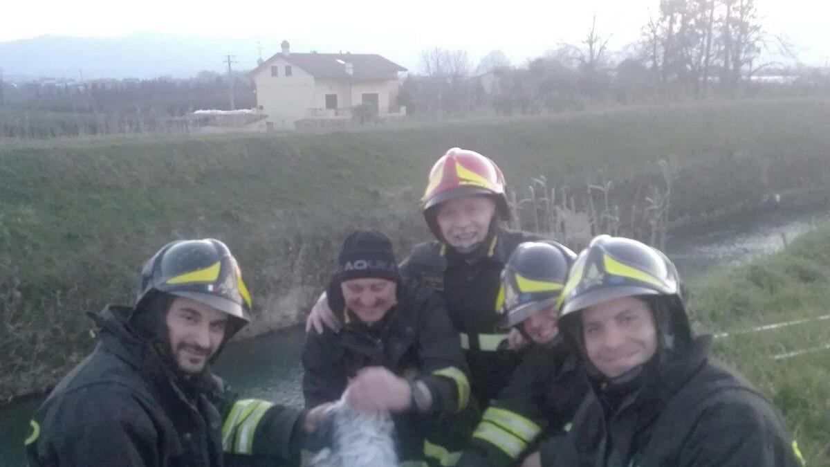 I vigili del fuoco con il cane appena salvato dalle acque dell'Ombrone
