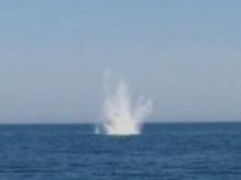 I subacquei della Marina fanno brillare un ordigno