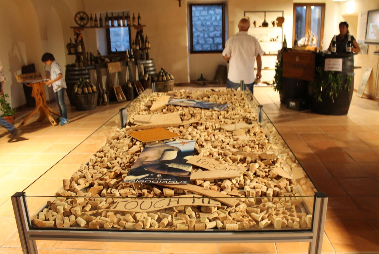 In arrivo fondi regionali per il museo del sughero