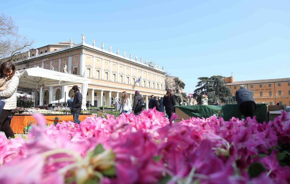 “Reggio in fiore” colora le piazze 