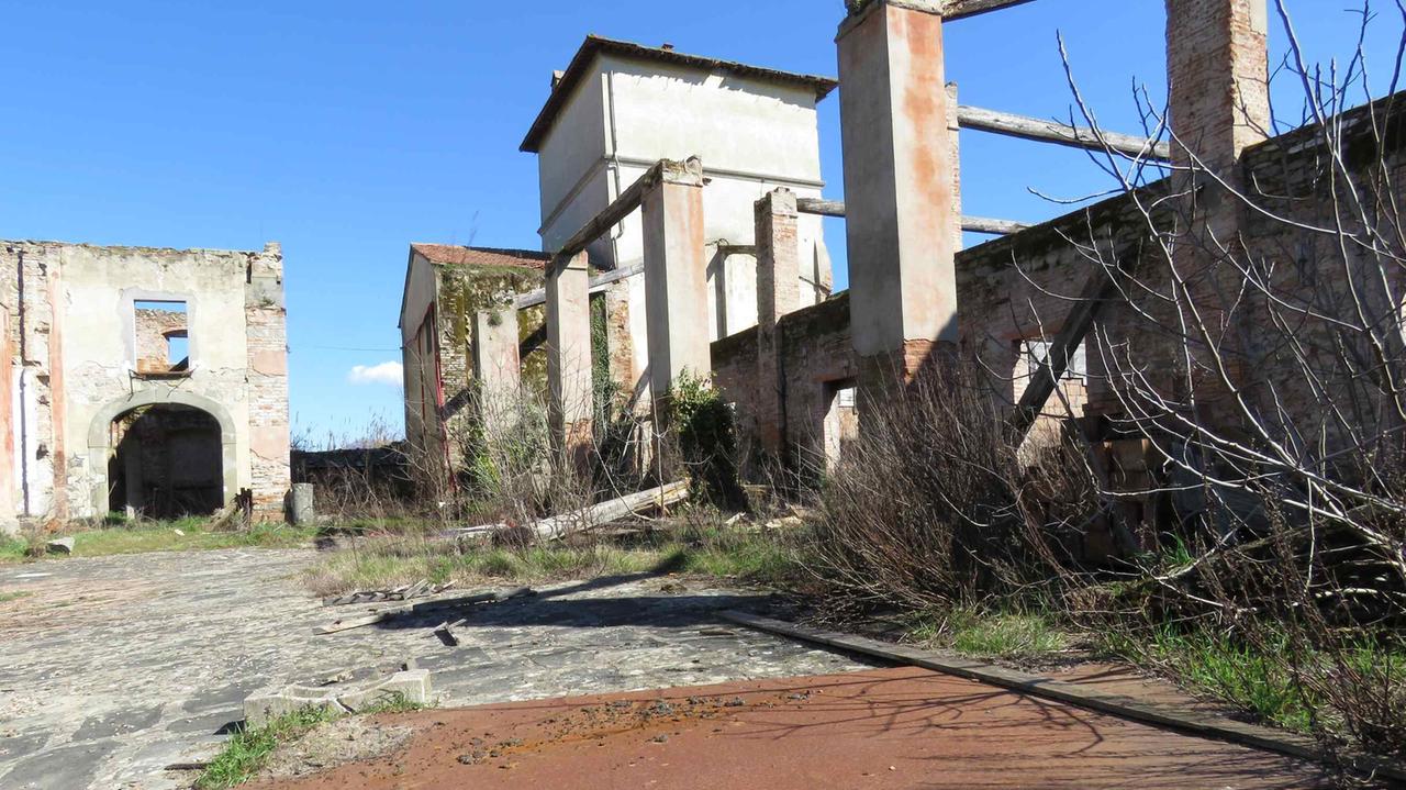 Una veduta di alcuni ruderi della Fattoria Medicea