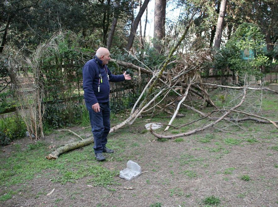 Grossi sassi, frasche e tronchi gettati dentro la bocciofila