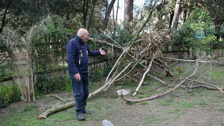 Grossi sassi, frasche e tronchi gettati dentro la bocciofila