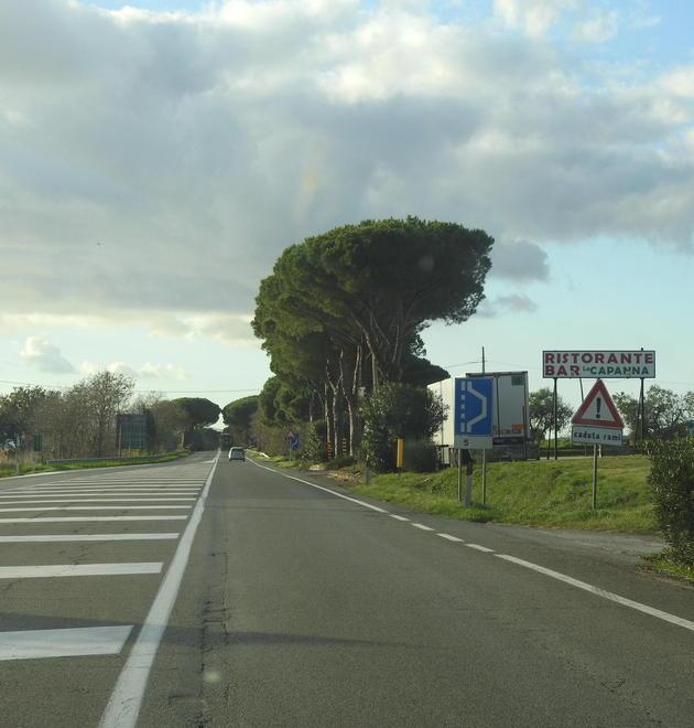 Aurelia più sicura Bellumori si appella al nuovo governo 