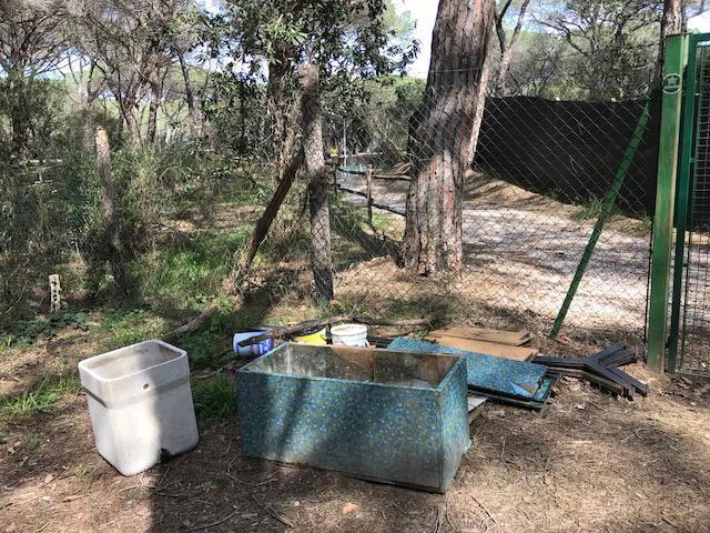 L’ennesima discarica sotto gli alberi