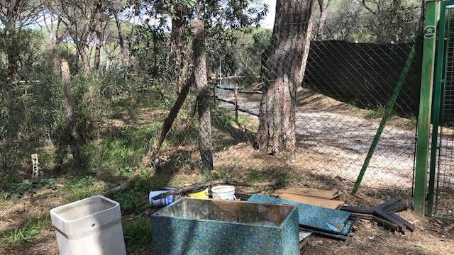 L’ennesima discarica sotto gli alberi