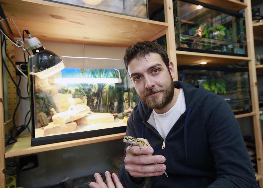 Modena, le zoostravaganze della Pet Society con i gechi 