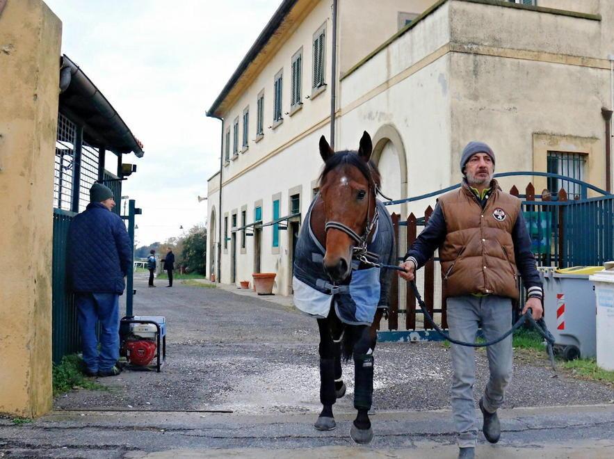 Ippodromo, in pista maxi-comitato e avvocato 