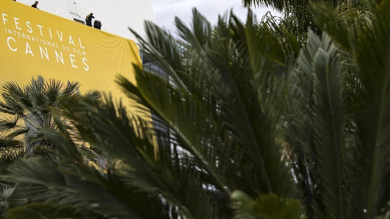 Cannes contro Netflix «Al festival del cinema solo film per le sale»