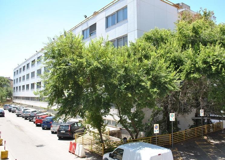 In trincea contro il tumore al pancreas 