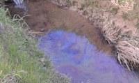 Il gasolio nel fosso proveniva da un vivaio