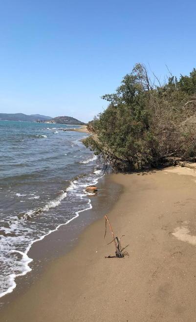 Spiagge, ripascimento più facile 