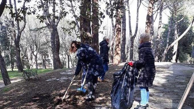 Volontari puliscono il parco e piantano due nuovi alberi