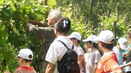“Vacanze insieme”: bambini felici e genitori sereni