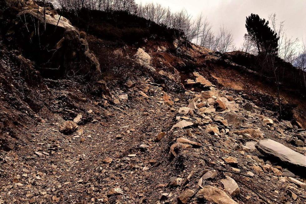 «Ecco perché Faggeta non deve riaprire» 