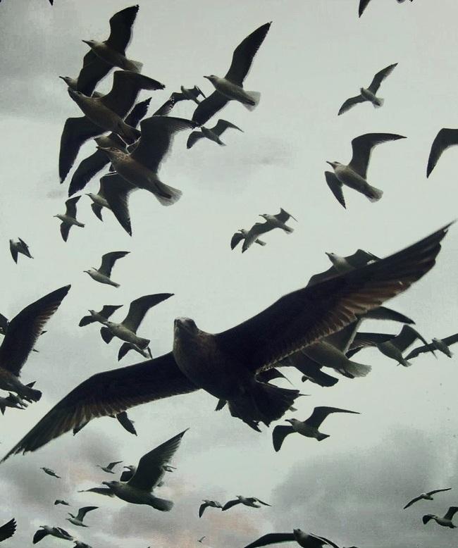 Con “IsReal” Nuoro diventa capitale dei film documentari 