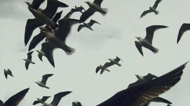 Con “IsReal” Nuoro diventa capitale dei film documentari