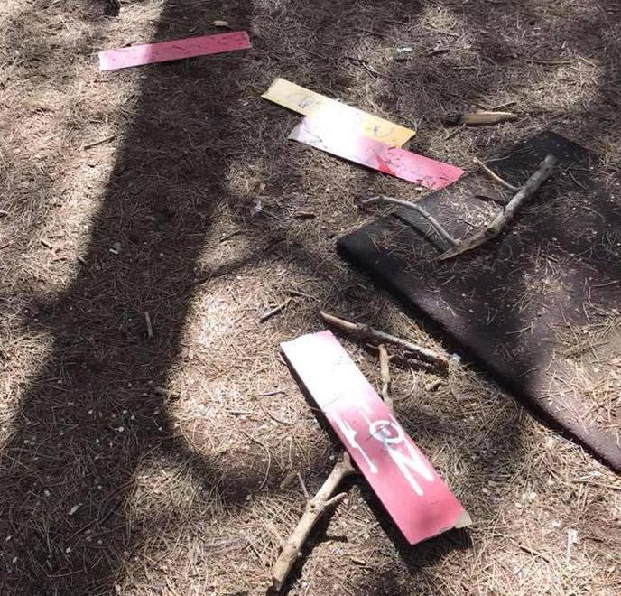 Vandali spaccano i giochi a Marina 