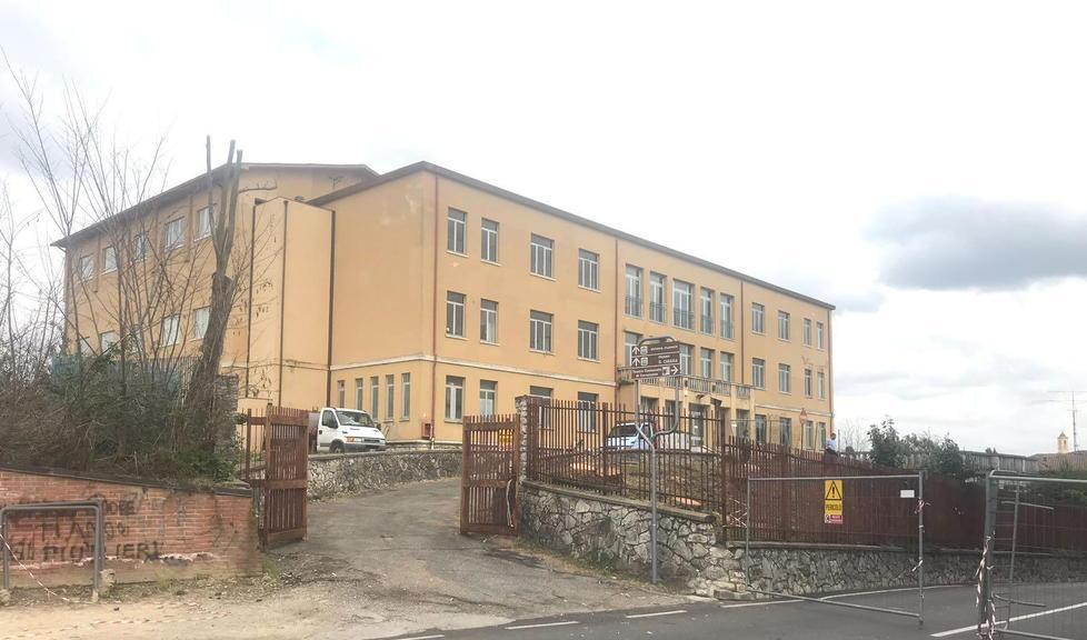 Proteste per gli alberi abbattuti all’ex liceo 