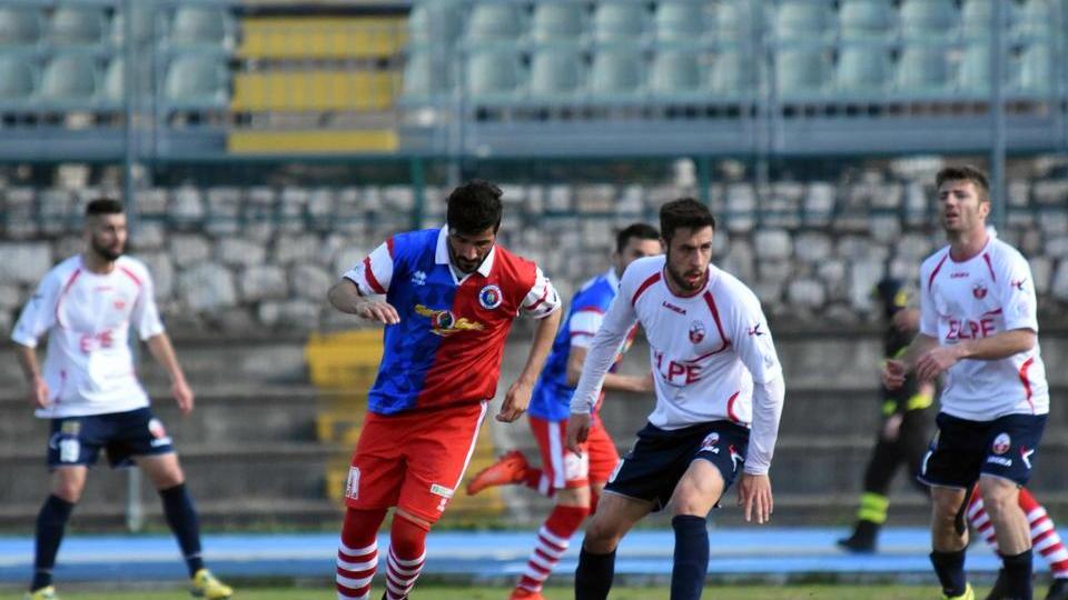 Gavorrano versione camaleonte