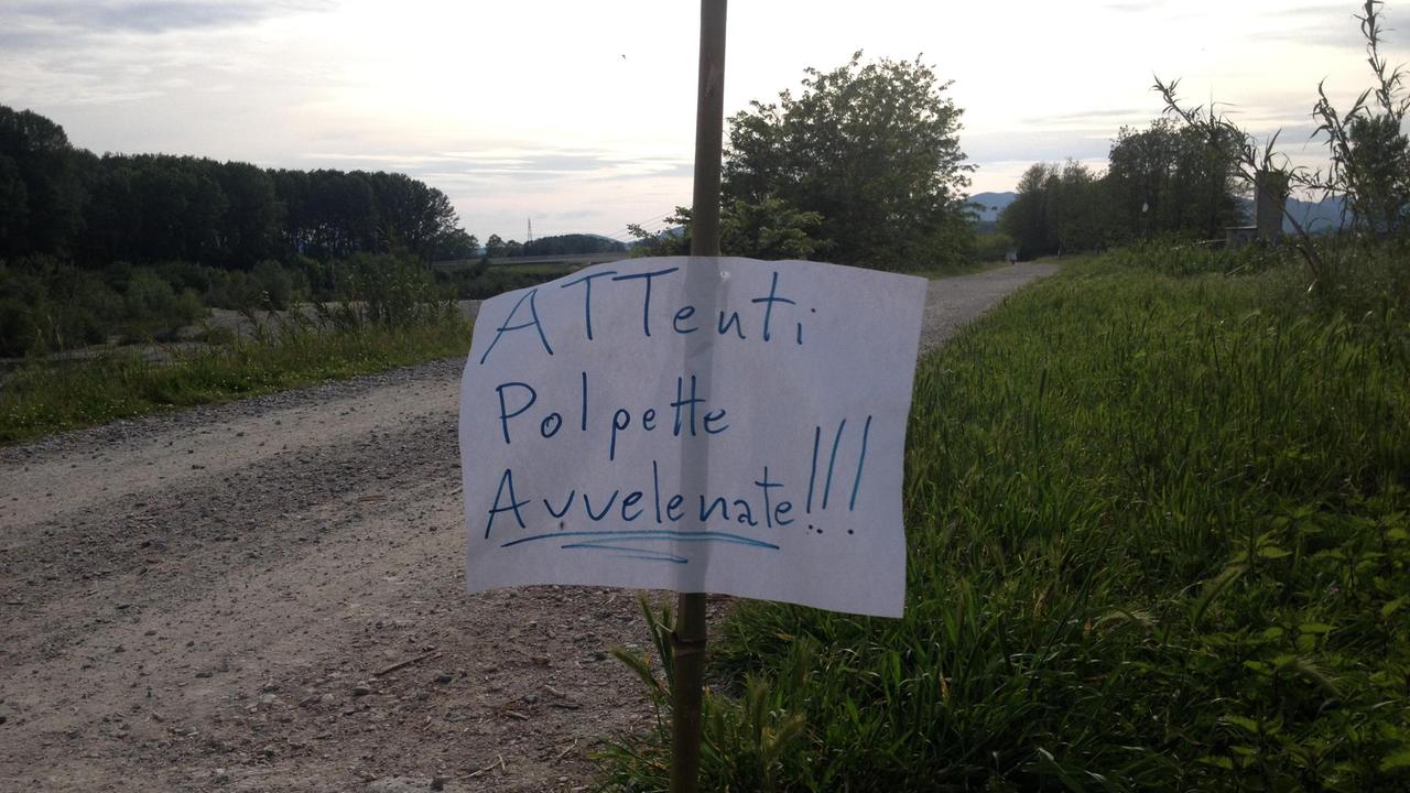 Foto d'archivio