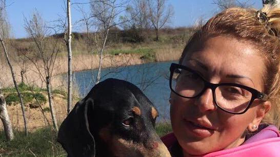 Il cane salvato dai vigili del fuoco