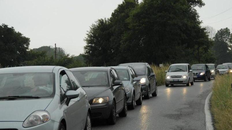 Investe un daino, 5.000 euro di danni