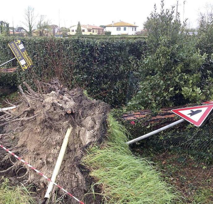 La tempesta di vento sconvolge Ghezzano 