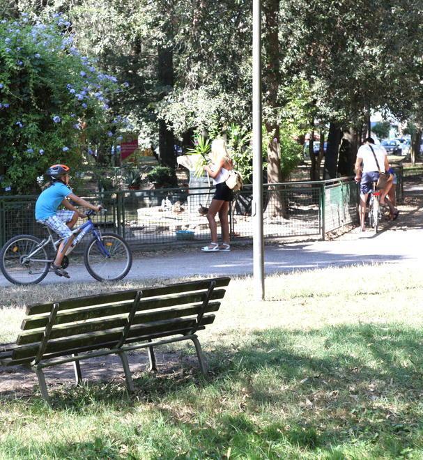 In città o in pineta il piacere di camminare