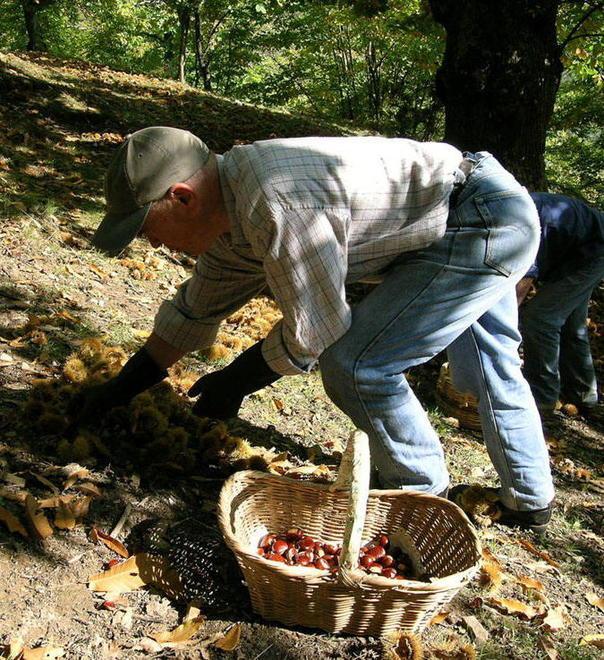 Tecnologia in agricoltura: il bando 