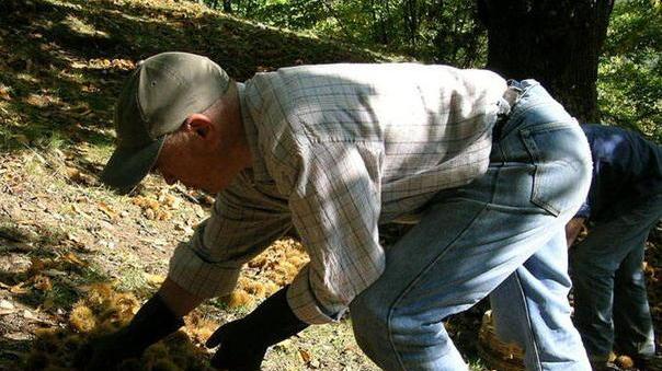 Tecnologia in agricoltura: il bando