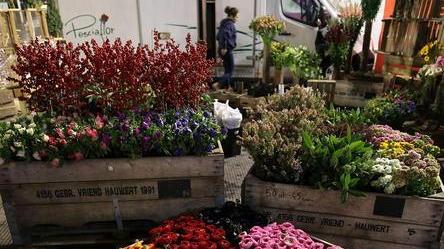 Fiori, vendite di Pasqua a quota un milione