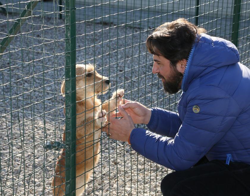 Un’equipe che si occupa di riabilitare i cani difficili