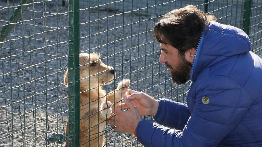 Un’equipe che si occupa di riabilitare i cani difficili